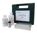 细胞凋亡检测试剂盒（ APOpercentage Assay）